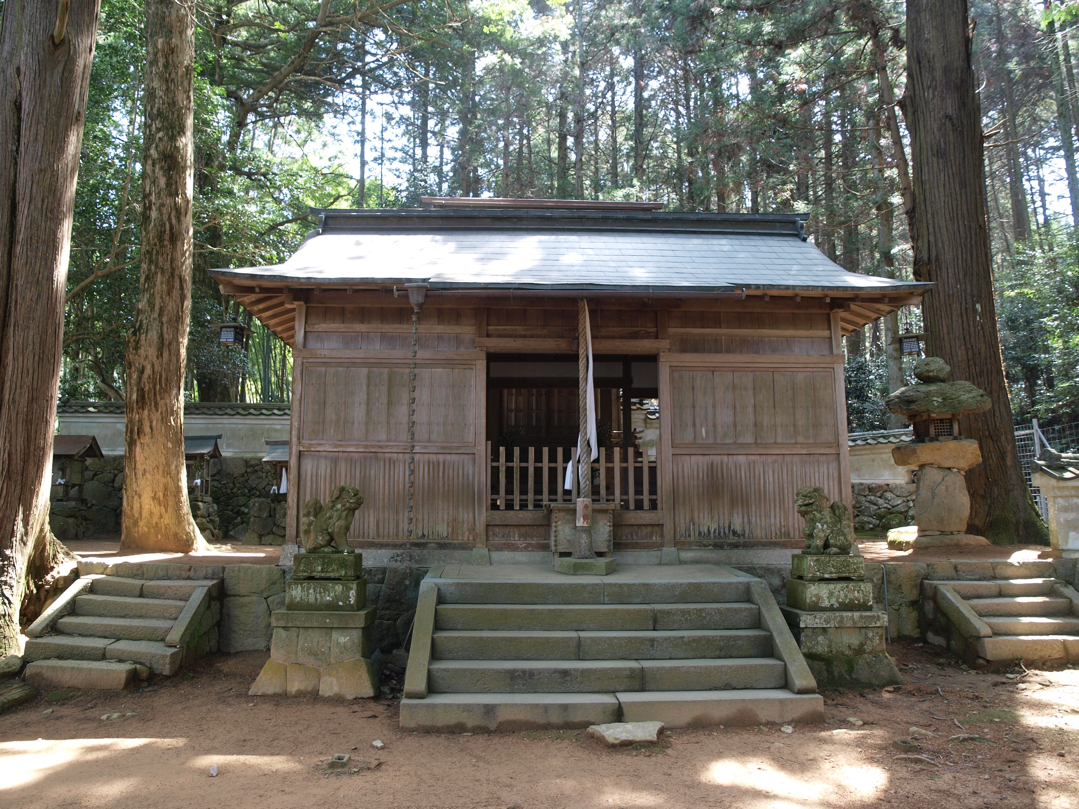 P4105753.JPG