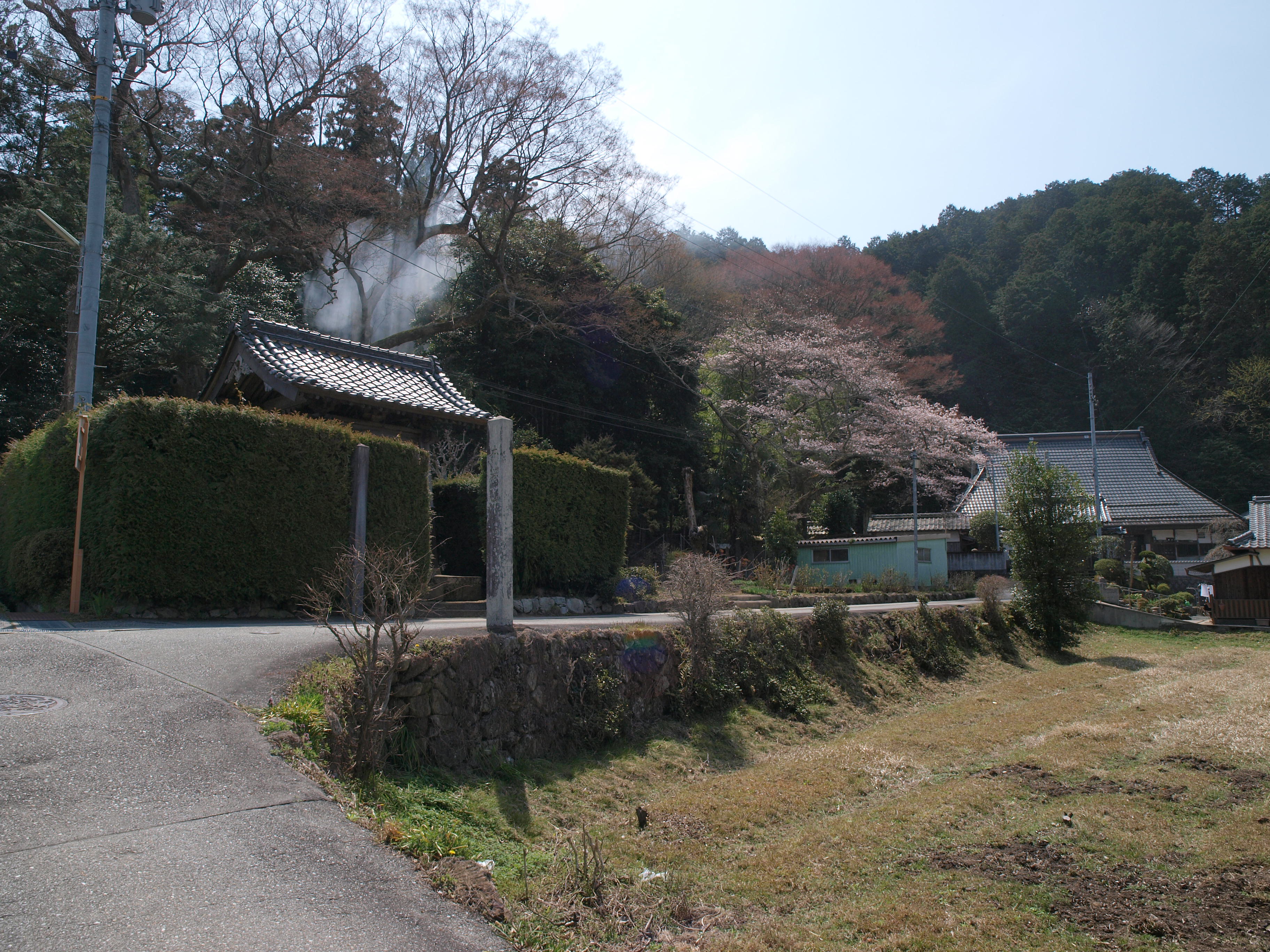 P4105756.JPG
