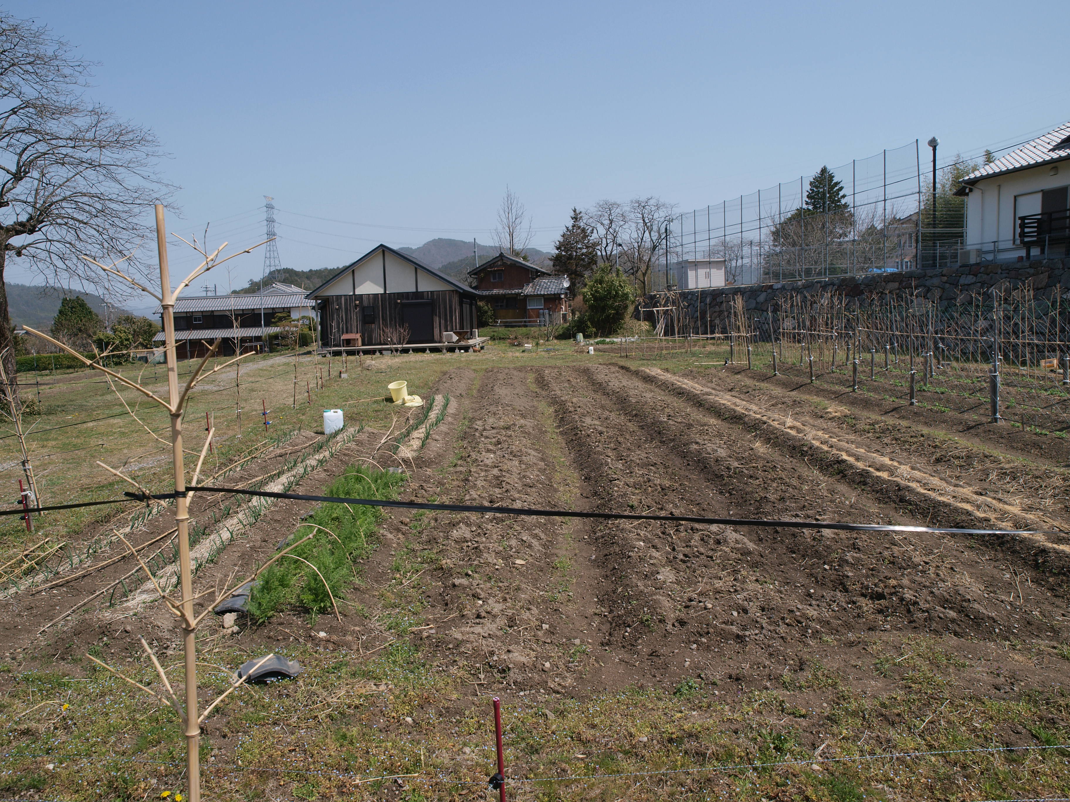P4105757.JPG