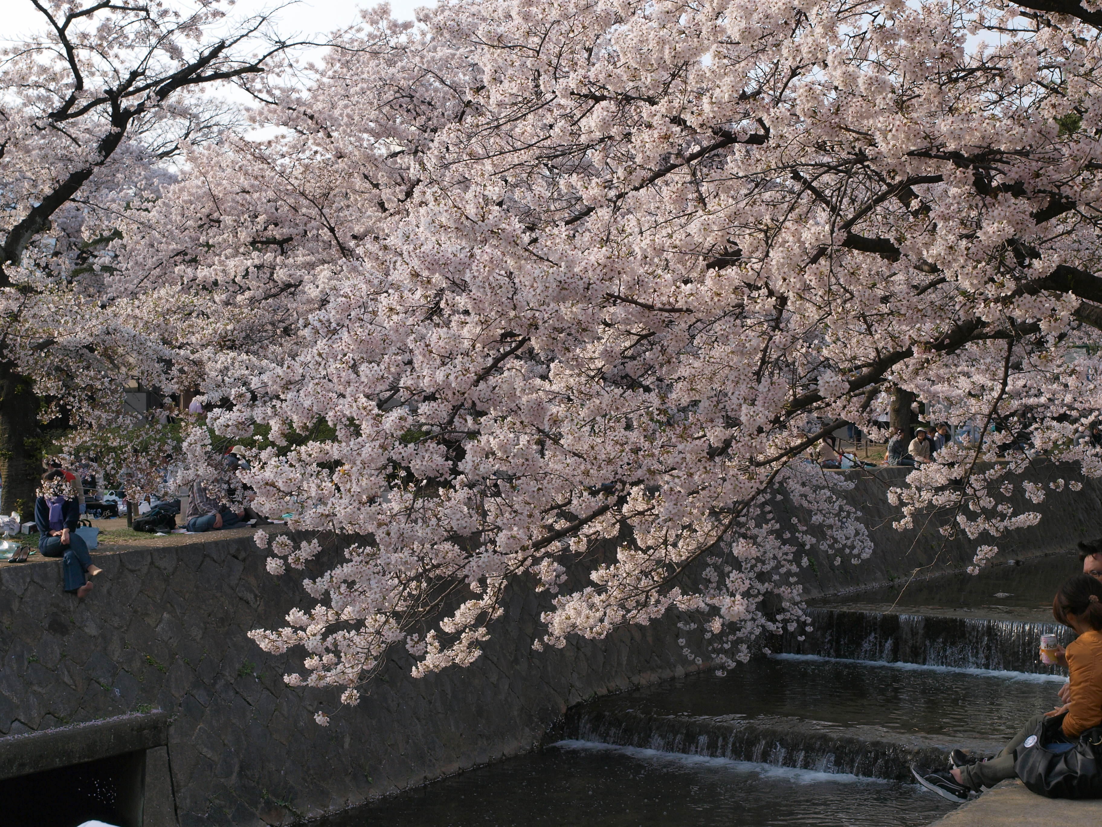 P4105788.JPG