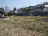 img0009.jpg