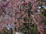 img0019.jpg