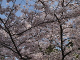img0020.jpg