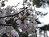 img0023.jpg