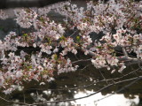 img0031.jpg