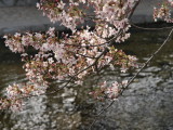 img0032.jpg