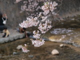 img0033.jpg