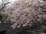 img0039.jpg