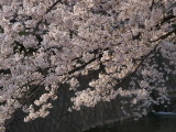img0040.jpg