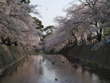 img0047.jpg