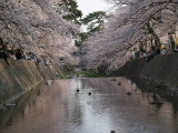 img0048.jpg