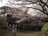 img0053.jpg