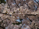 img0056.jpg