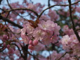 img0057.jpg