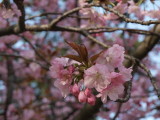 img0058.jpg