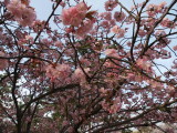 img0059.jpg