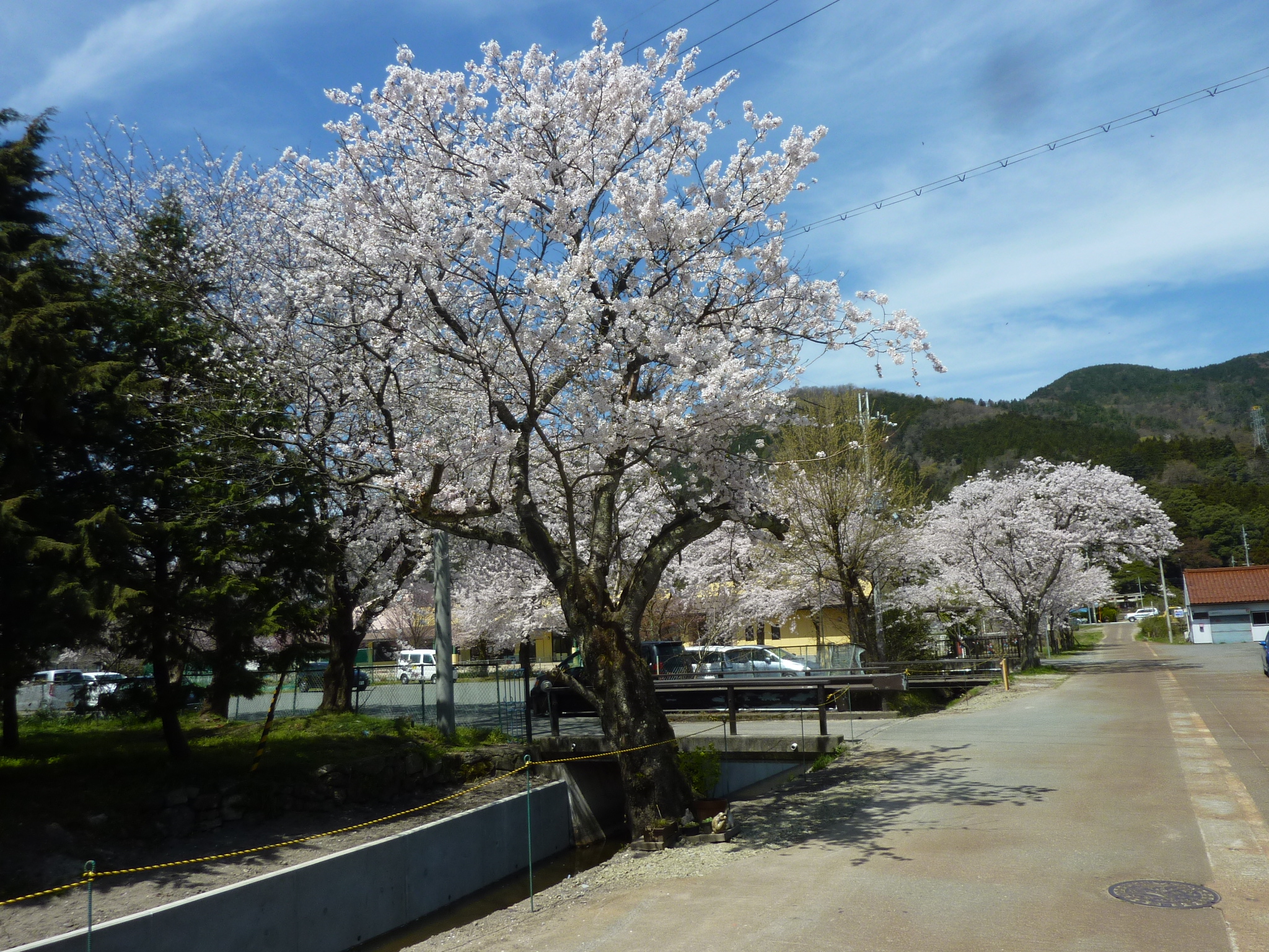 P1120826.JPG