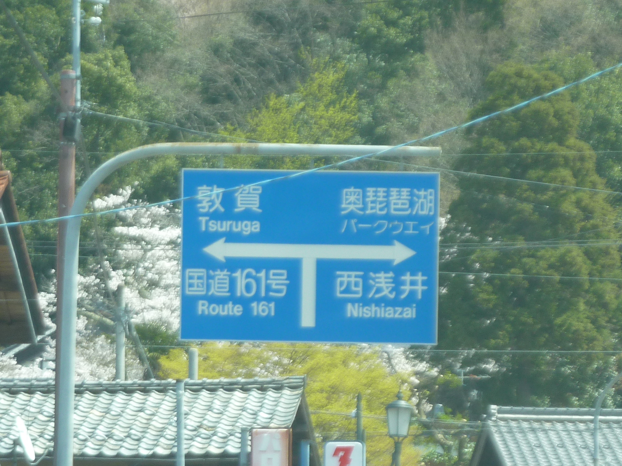 P1120829.JPG