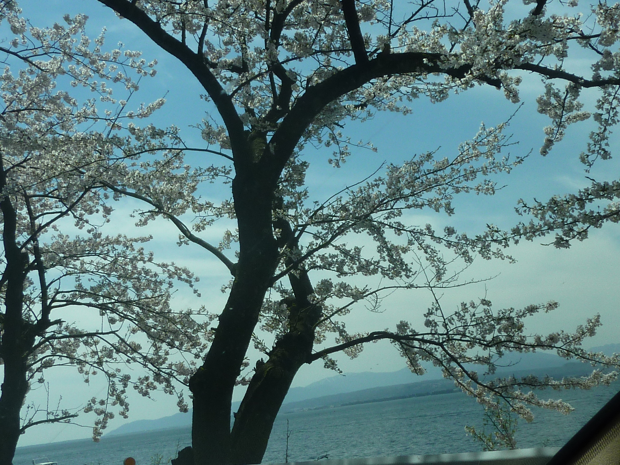 P1120834.JPG