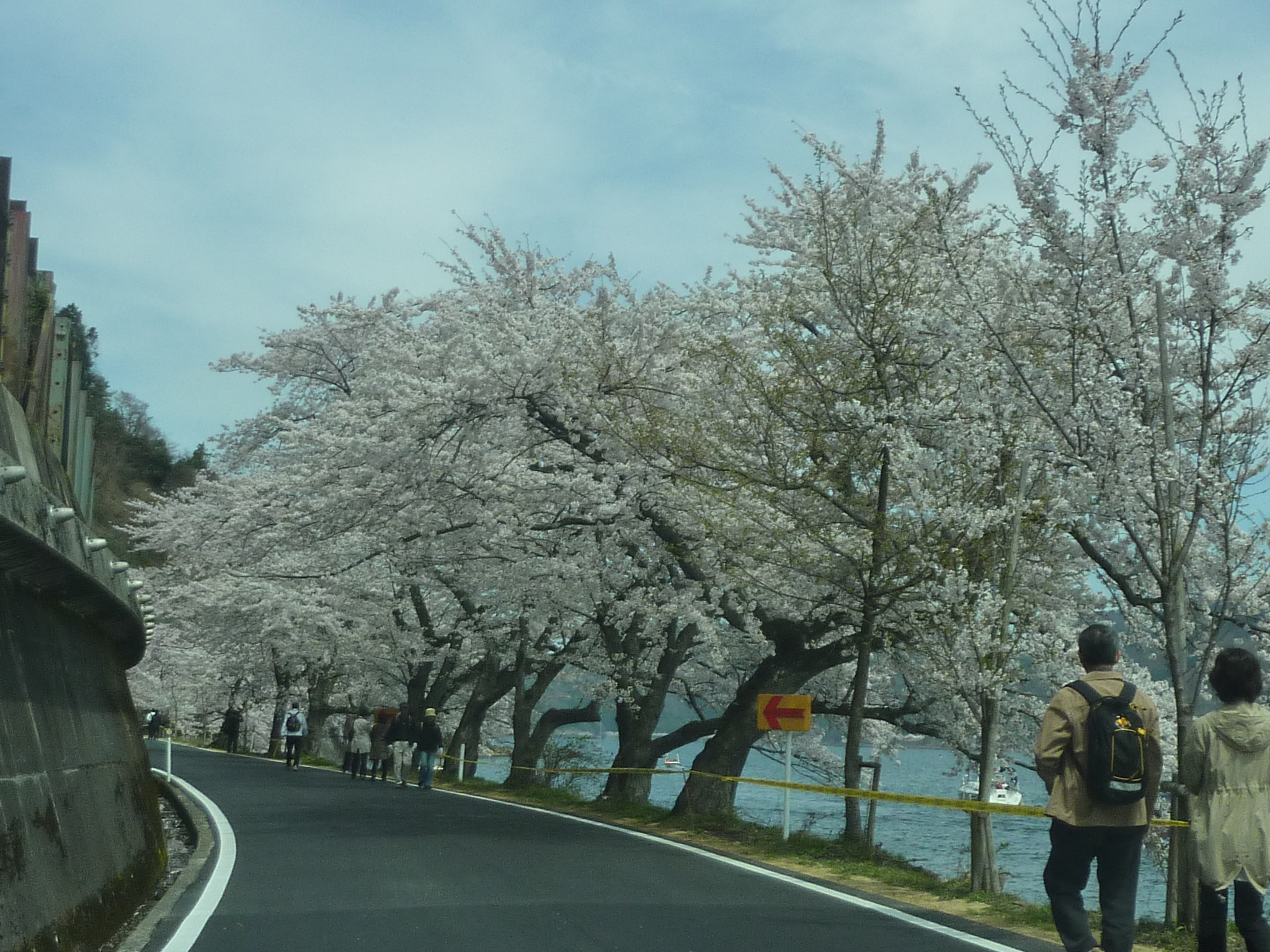 P1120855.JPG