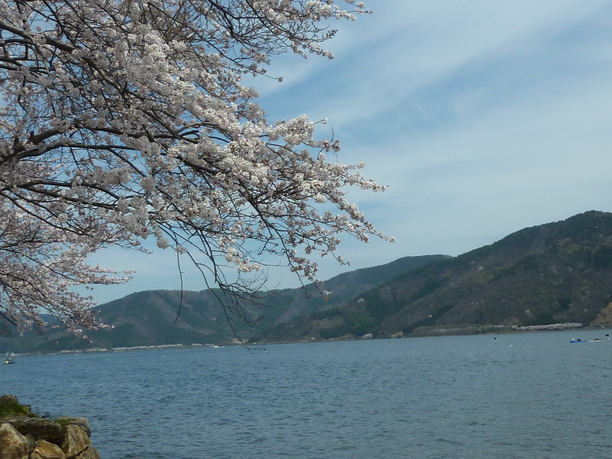 P1120857.JPG