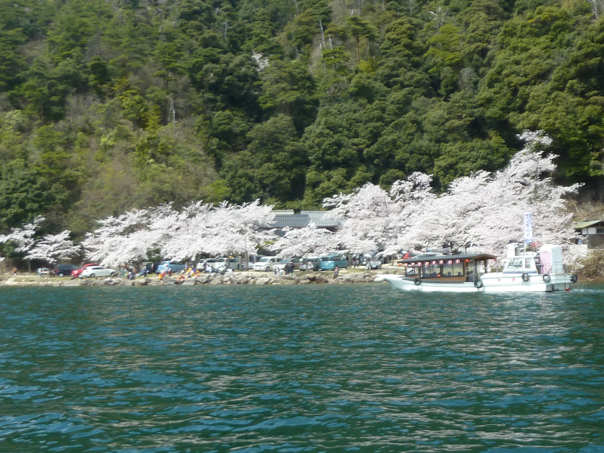 P1120867.JPG