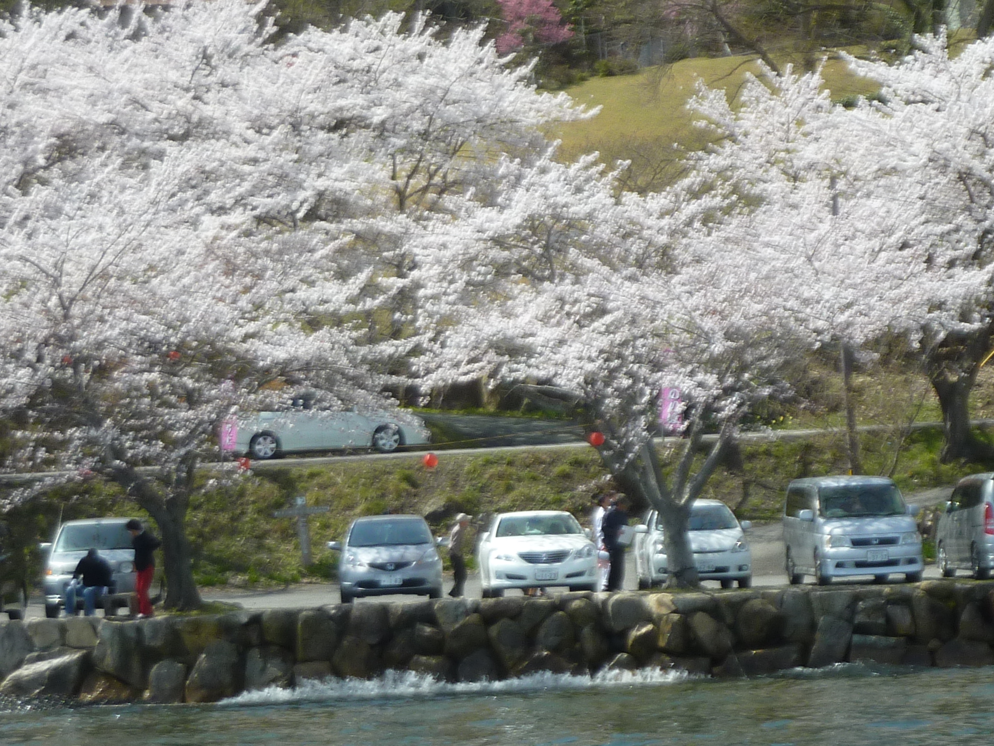P1120888.JPG