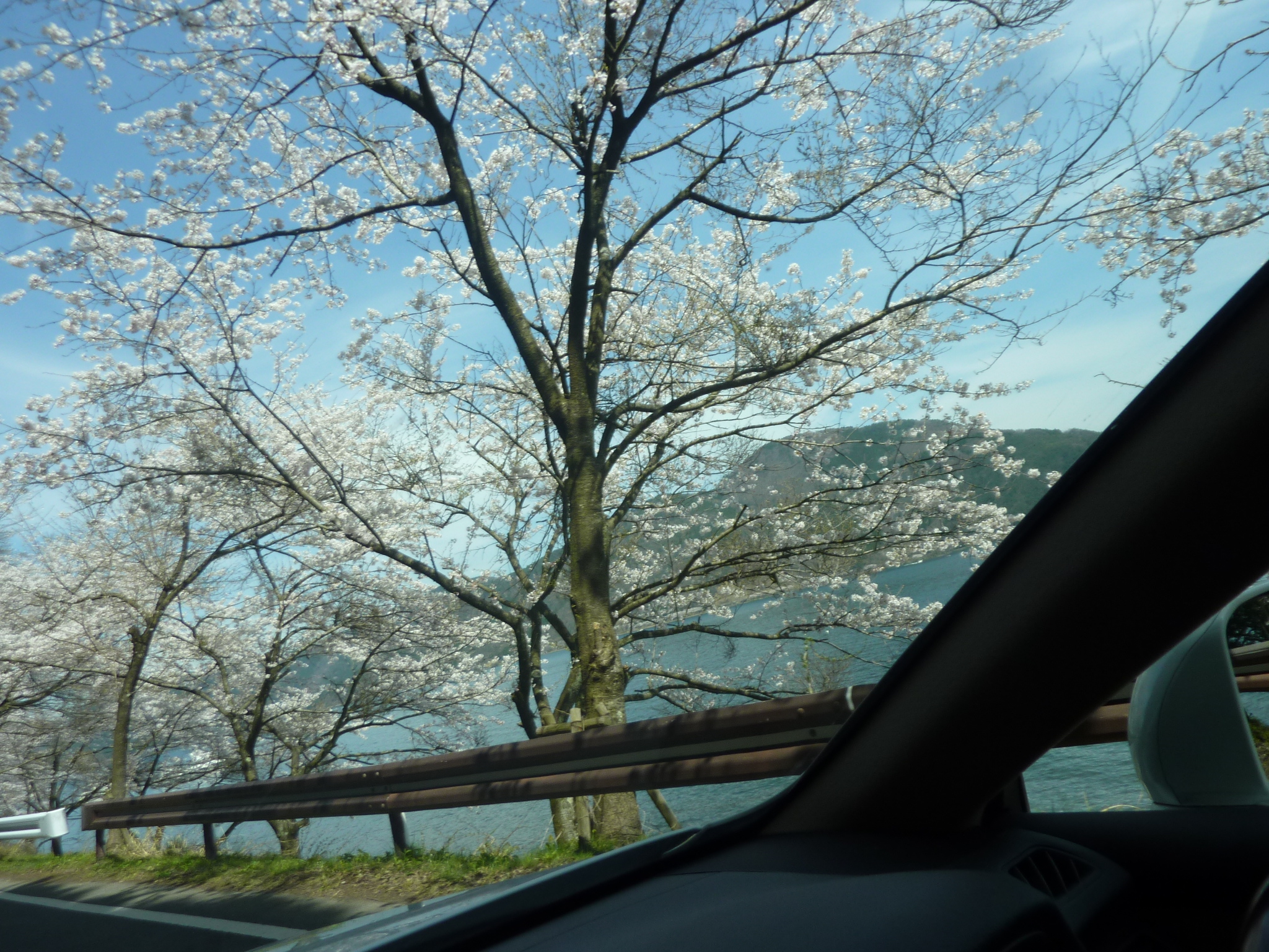 P1120889.JPG