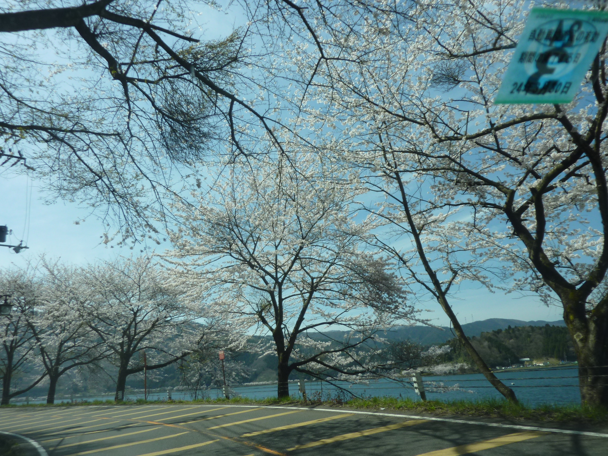 P1120894.JPG