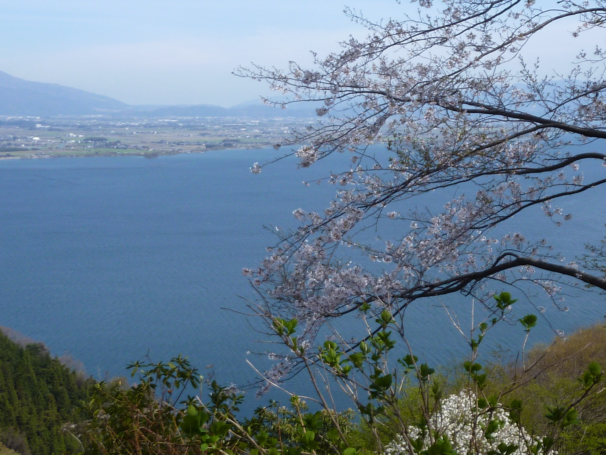 P1120896.JPG