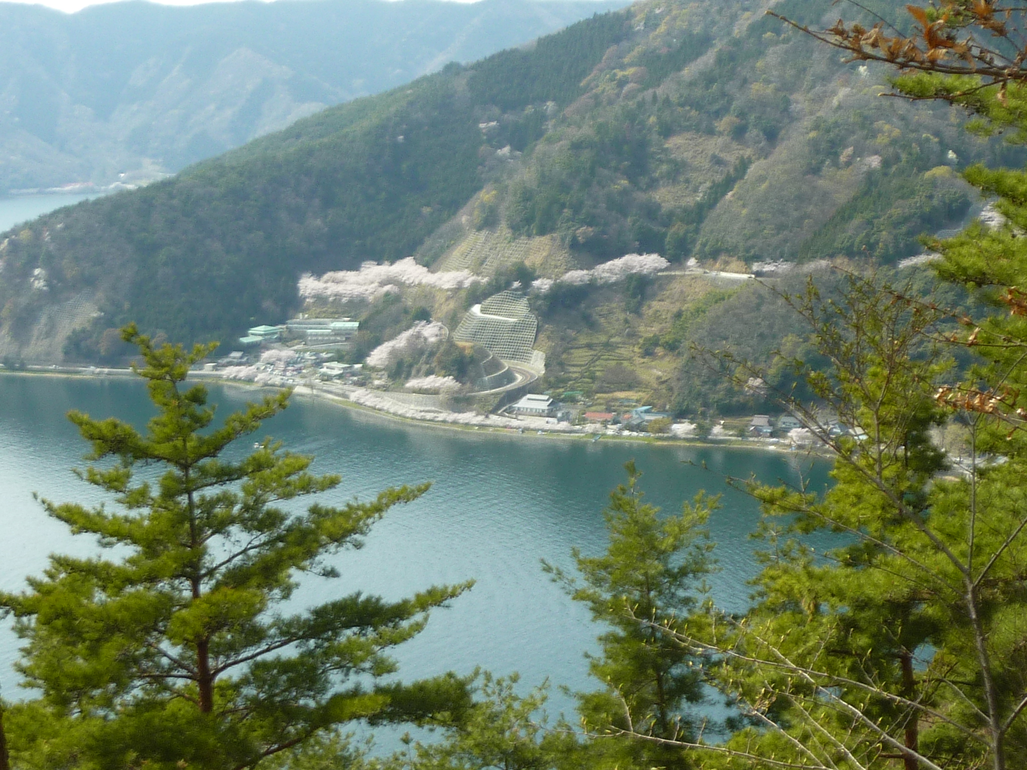 P1120899.JPG