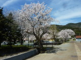 img0006.jpg