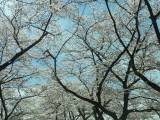 img0013.jpg