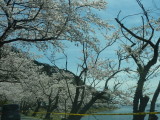 img0017.jpg