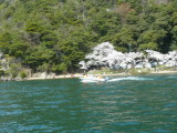 img0050.jpg
