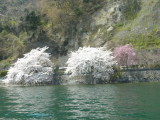 img0061.jpg
