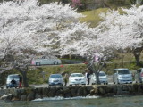 img0065.jpg