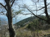 img0081.jpg