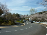 img0083.jpg