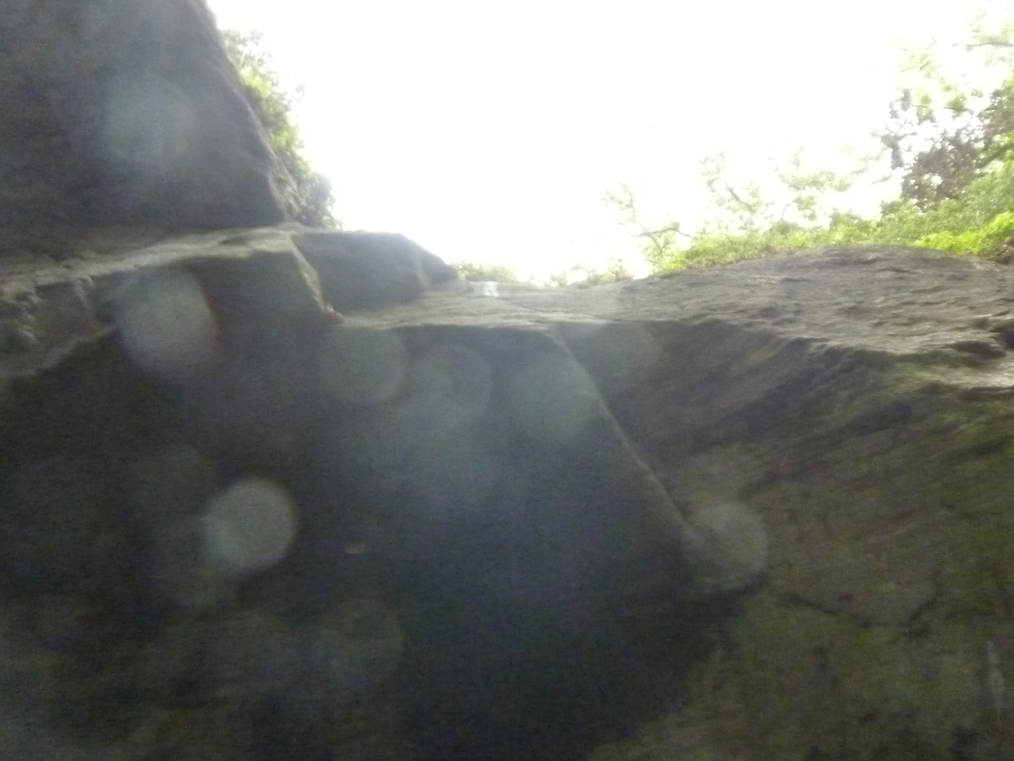 P1130093.JPG