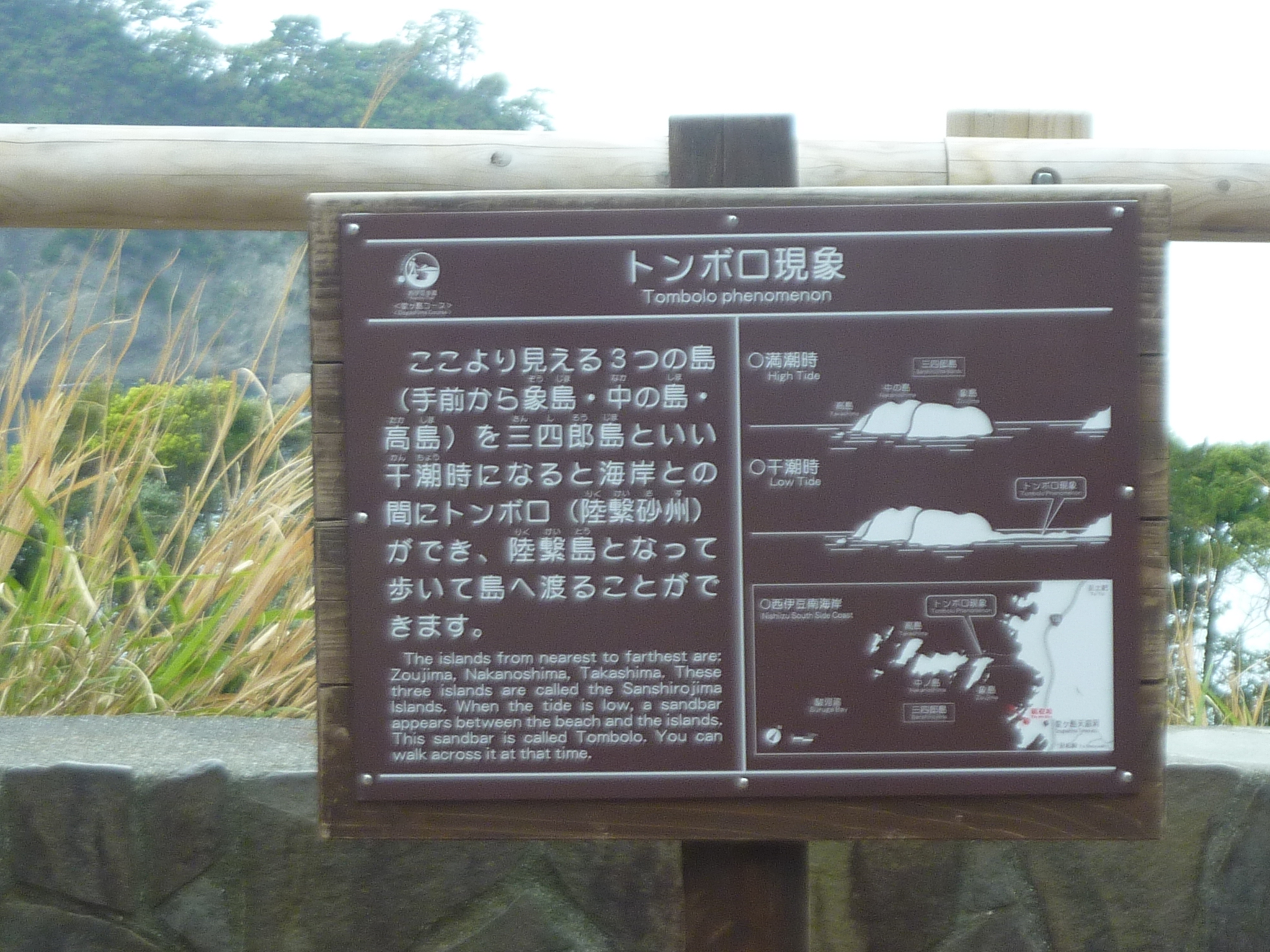P1130111.JPG