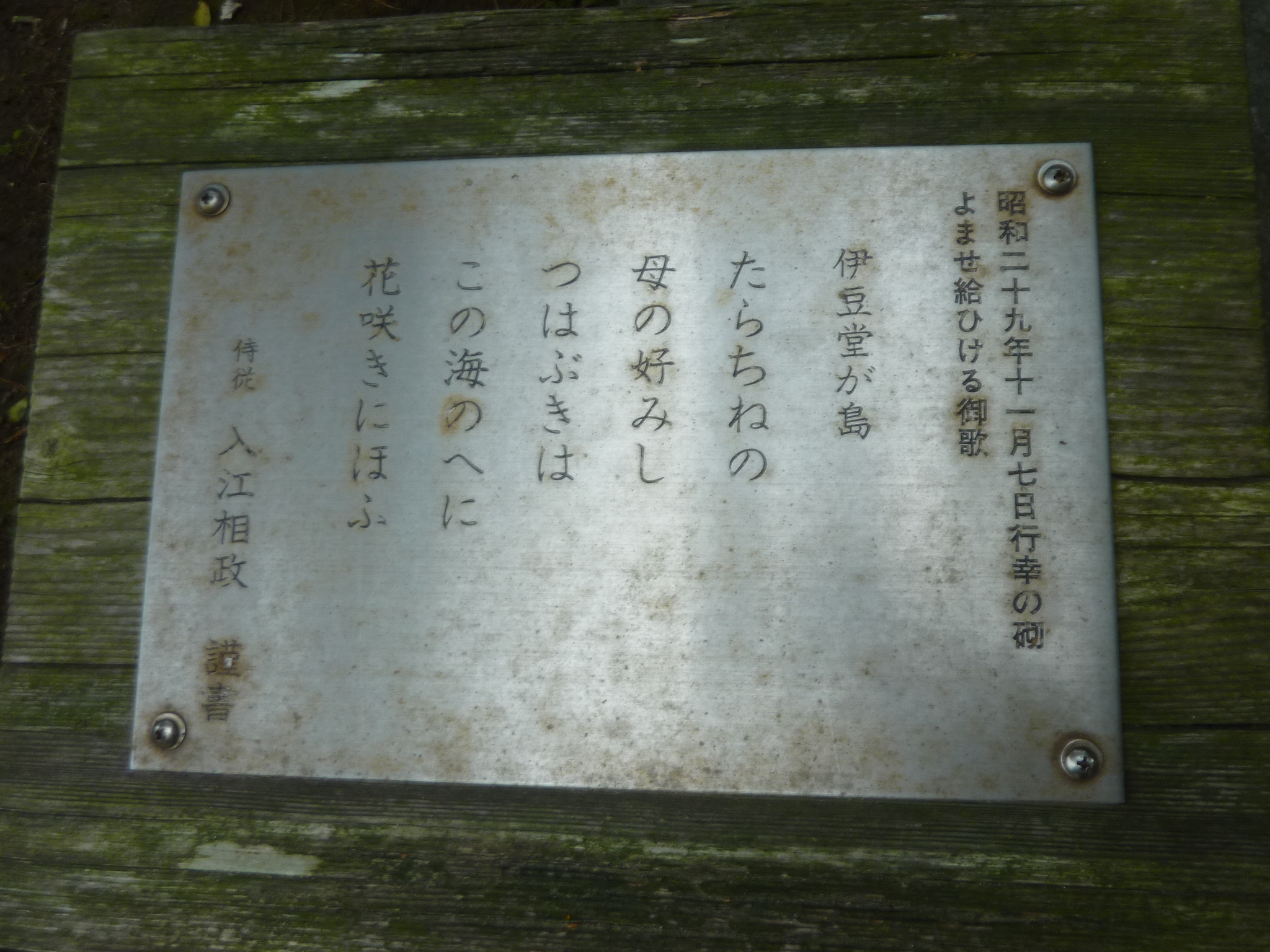 P1130119.JPG