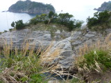 img0067.jpg