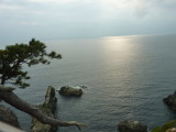 img0083.jpg