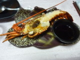 img0102.jpg