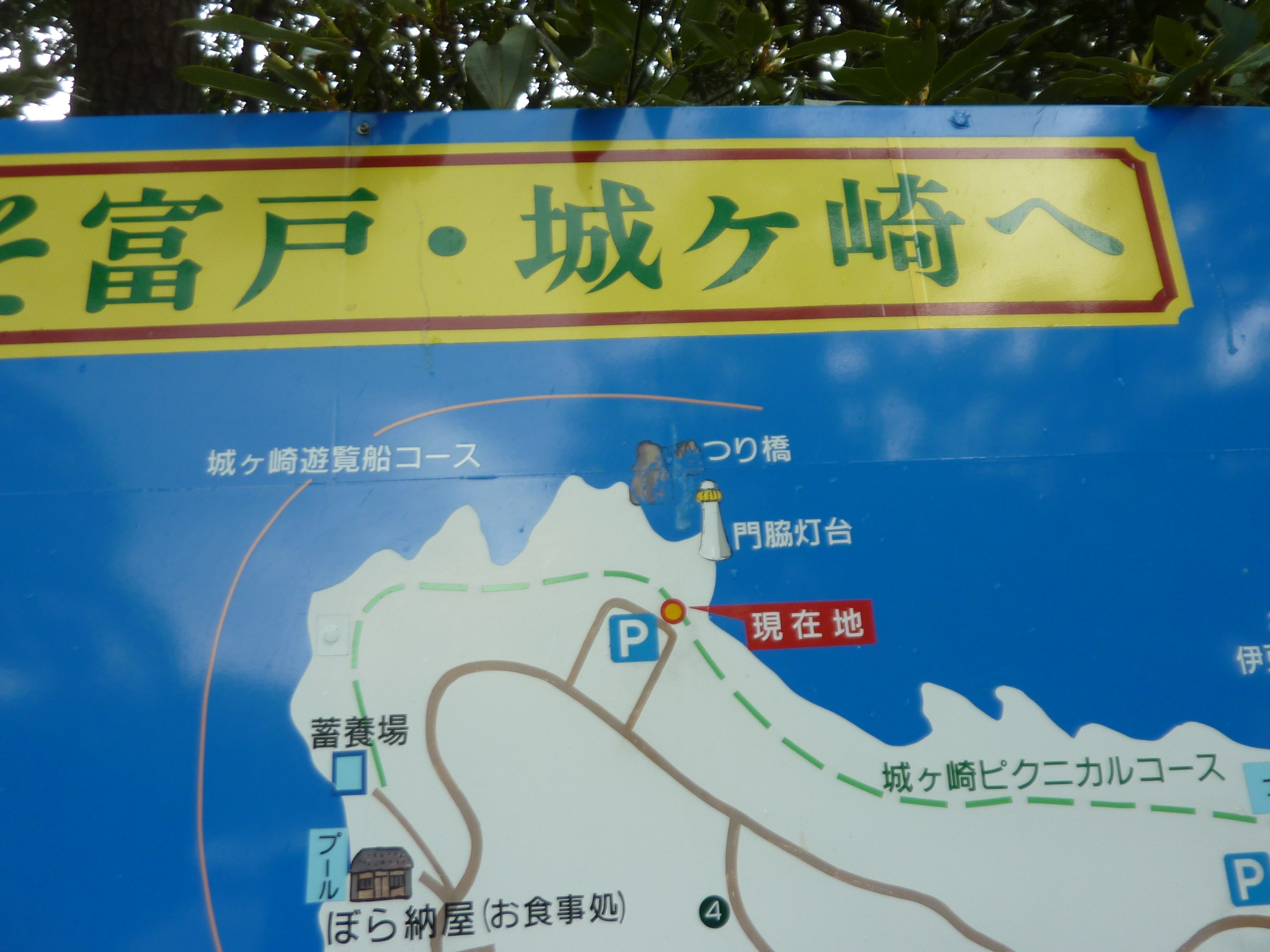 P1130205.JPG