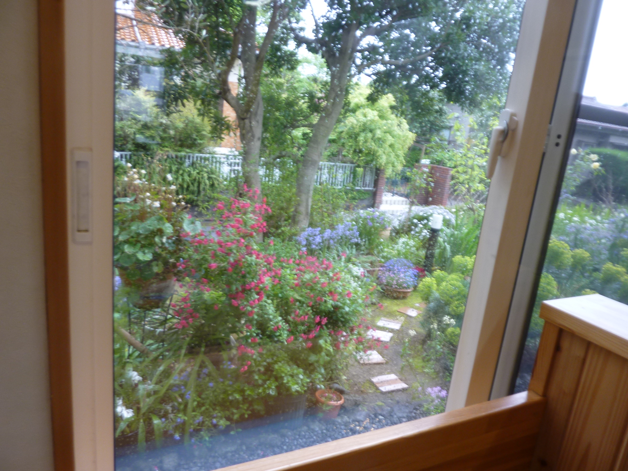 P1130223.JPG