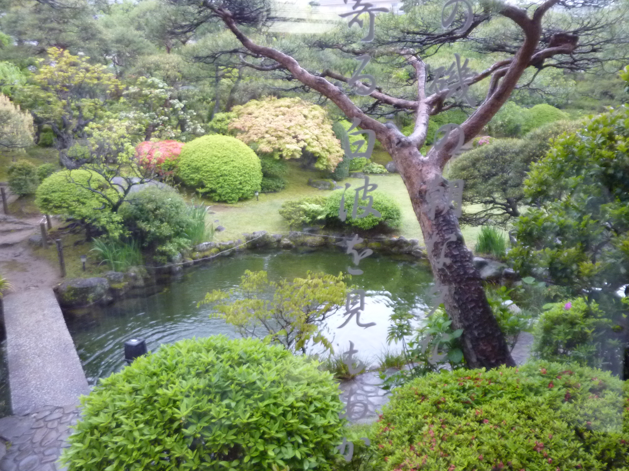 P1130238.JPG