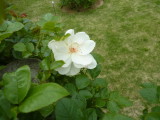 img0032.jpg