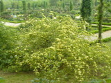 img0037.jpg